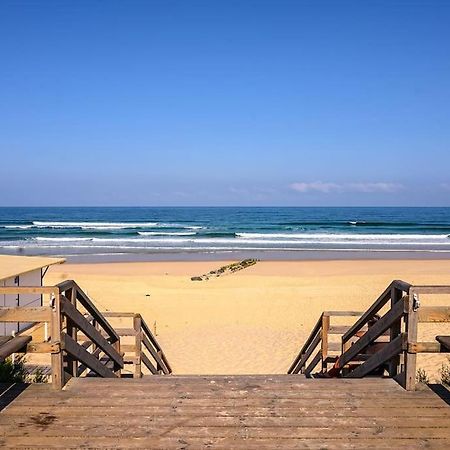 La Cabane Maddyblue 5 Min A Pieds De L'Ocean Et Commerce Mimizan-Plage Buitenkant foto